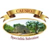 Causio